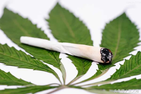 T.O.P吸*麻大**被判10个月+72元罚款，你怎么看？