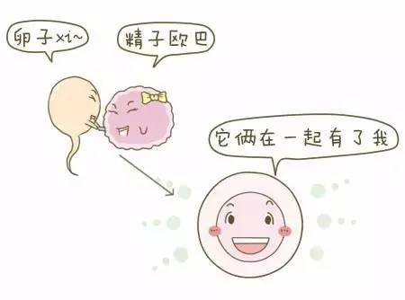 受孕没着床有多大几率不会怀上,原来备孕这么难