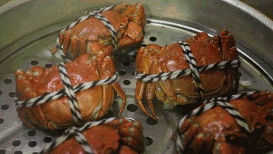 鲜冠阳澄湖大闸蟹,舌尖上的美味大闸蟹