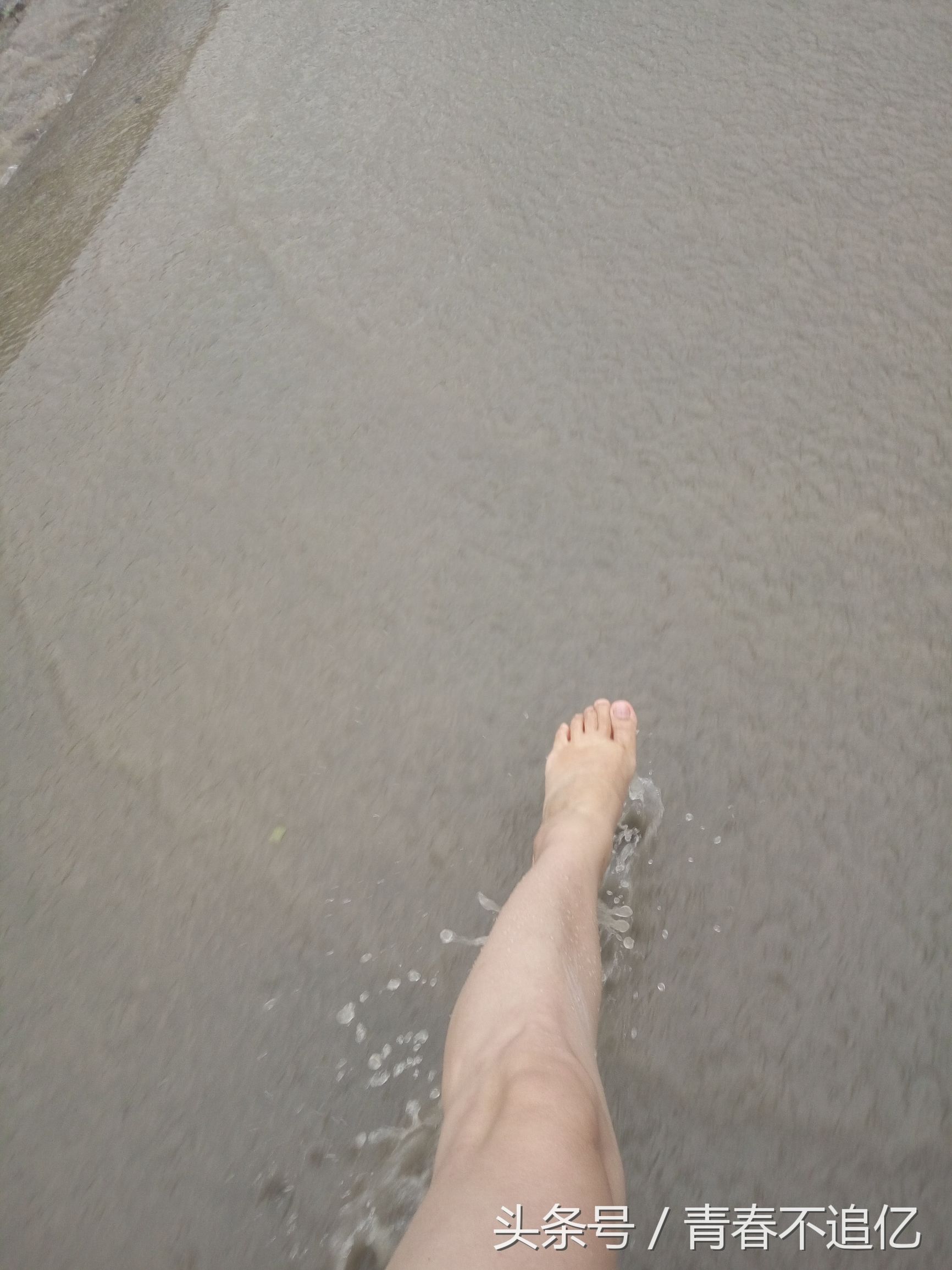 青城后山清凉避暑好去处,青城山下好乘凉风景图