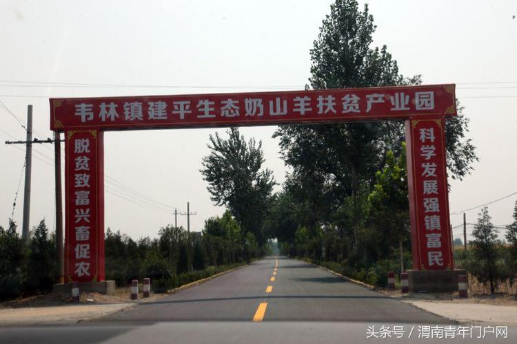 奶山羊扶贫产业示范园,富平县奶山羊产业扶贫