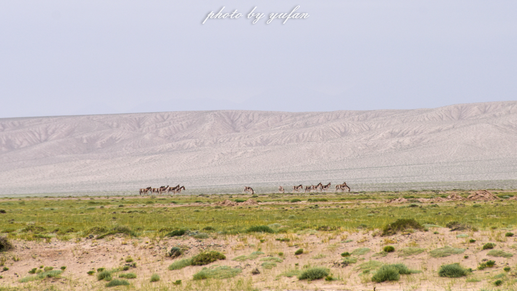 无人区穿越多少公里,无人区穿越和荒野求生哪个难