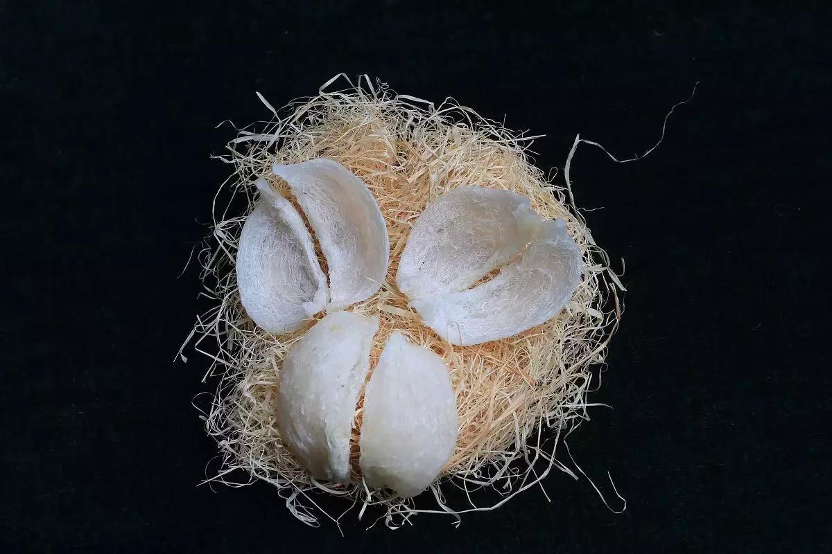 燕窝还是海参有营养,海参燕窝属于高补品吗