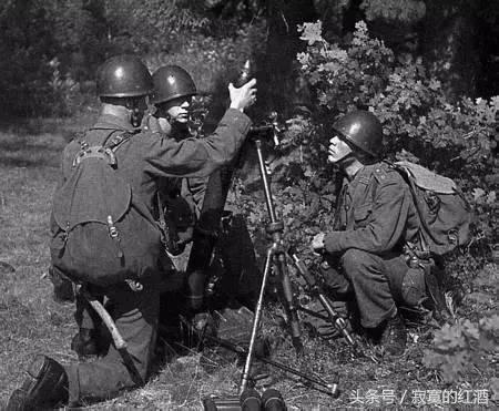 二战德国最可怕的盟国,二战德国不敢惹的国家
