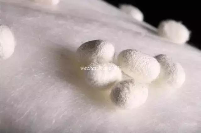 奢侈品丝巾怎么清洗,爱马仕褶皱丝巾怎么洗干净