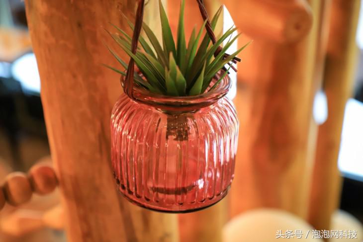 佳能6dmark2是哪个级别的,佳能6d高感能到多少