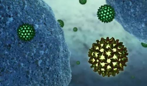 病毒性肝炎到肝癌需要多久,消除病毒性肝炎进入倒计时