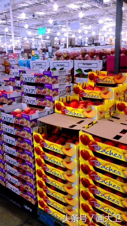 costco热狗,美国costco推荐必买