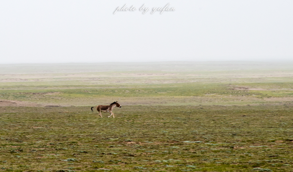 无人区穿越多少公里,无人区穿越和荒野求生哪个难