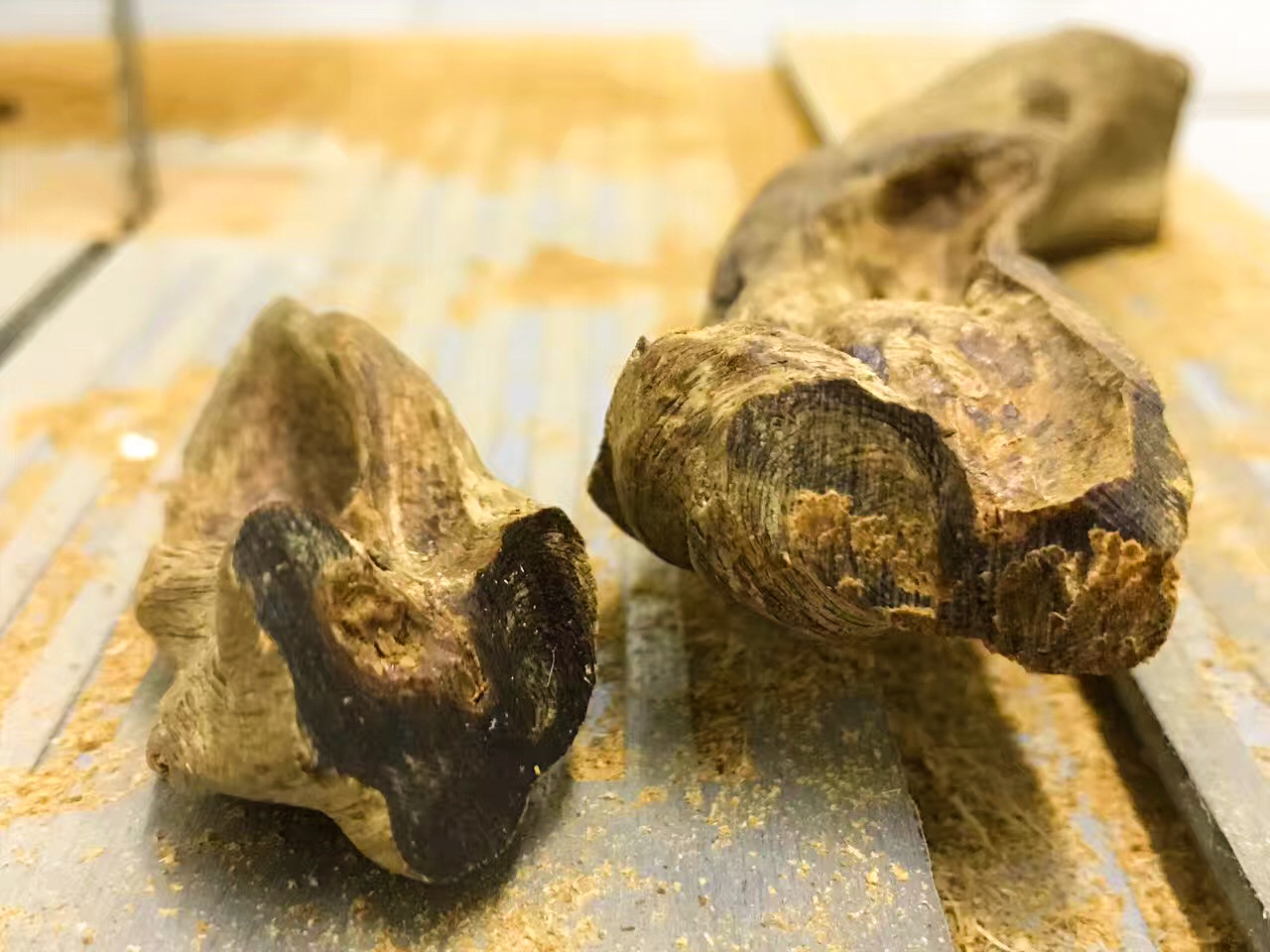 广东茂名电白沉香之乡奇楠直播,沉香五大奇楠产地