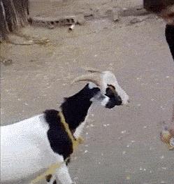 总是有些事情是我们想象不到的，比如说女人唠叨的时候男人会想什么？