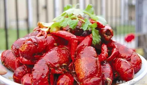 西宁至武汉直达动车即将开行,西宁至乌鲁木齐加开列车