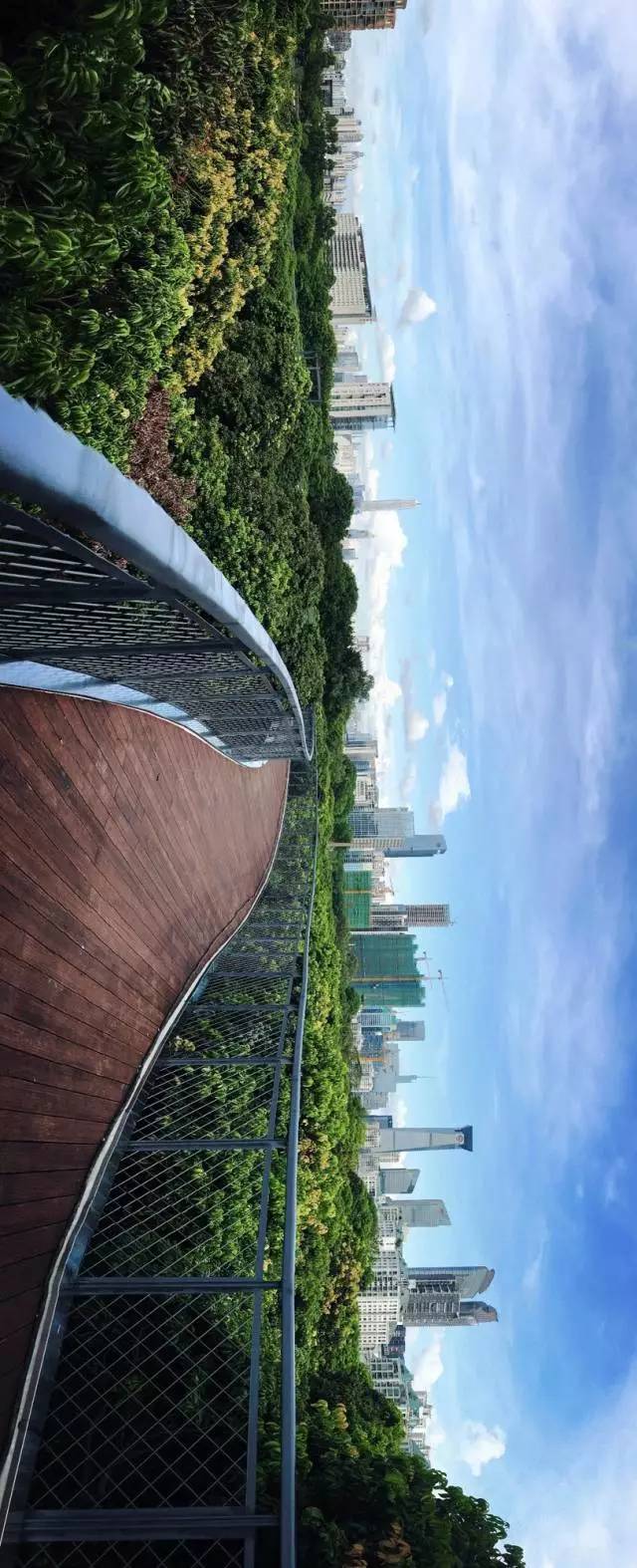 又多了一个免费约会公园！空中栈道、荔枝林、*瑰园玫**，环境超棒的！