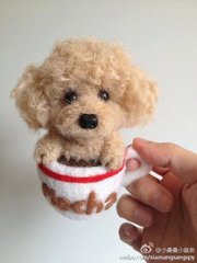 什么宠物最可爱又好养,你见过的宠物是什么