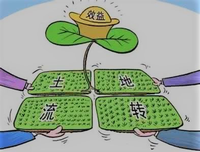 农村土地以后怎样处理,修路强占农村田地怎么处理