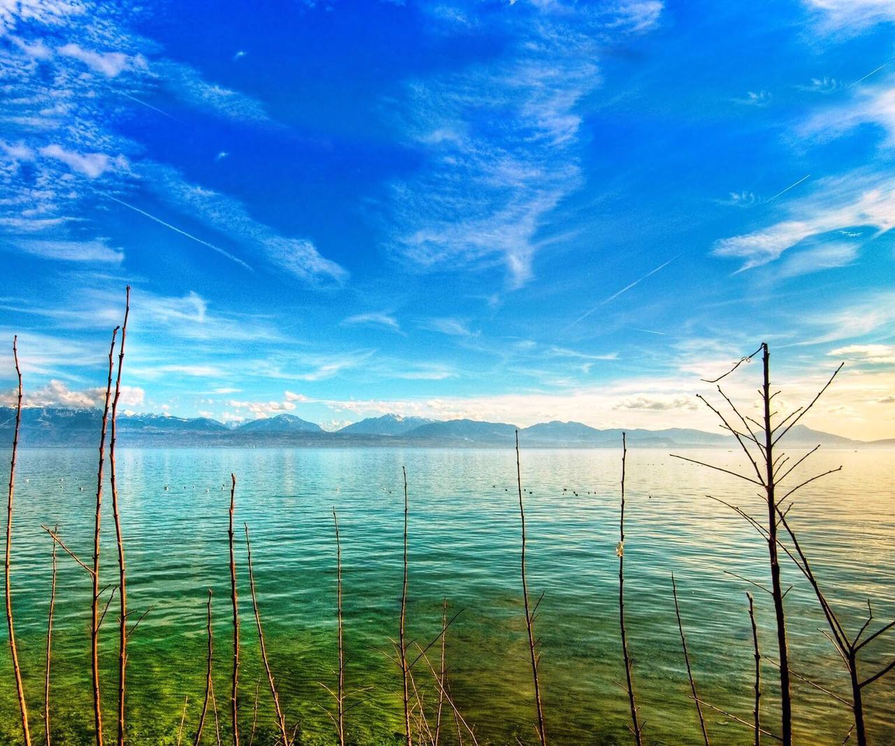 奇甲决策学视频教程,知人者智自知者明论证方法