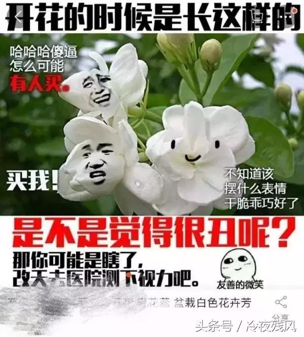 电商史上最全最搞笑锦集，笑成了200斤的胖子