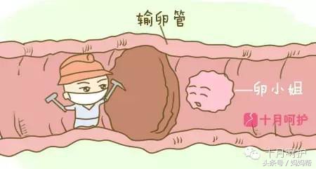 备孕需要关注这8件事,备孕期间怎么做对未来宝宝有影响