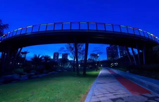 又多了一个免费约会公园！空中栈道、荔枝林、*瑰园玫**，环境超棒的！