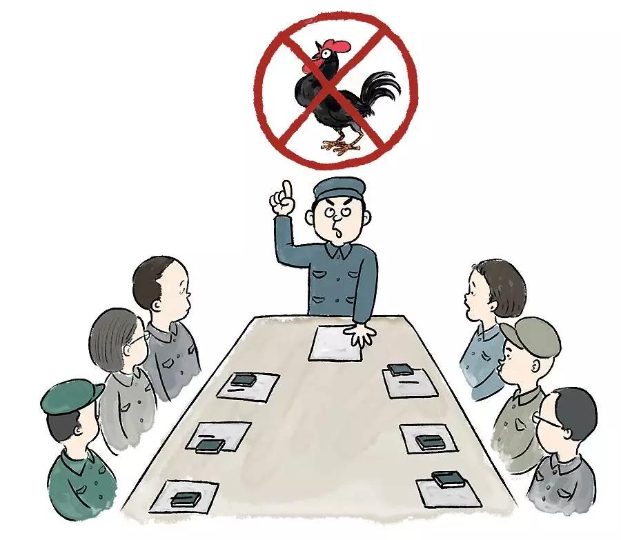 打鸡血有没有效果,打鸡血的真相是什么