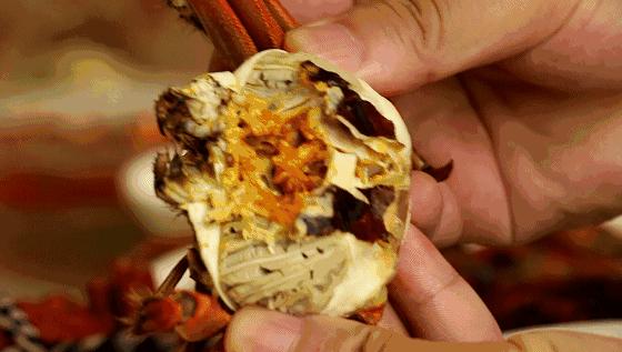 鲜冠阳澄湖大闸蟹,舌尖上的美味大闸蟹