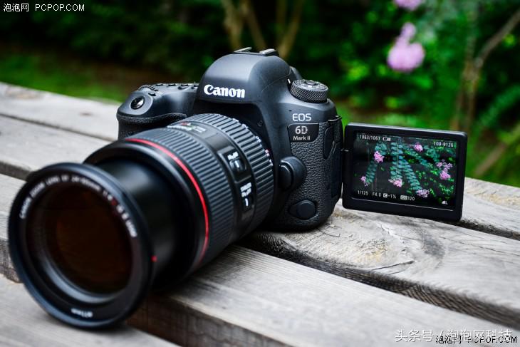 佳能6dmark2是哪个级别的,佳能6d高感能到多少