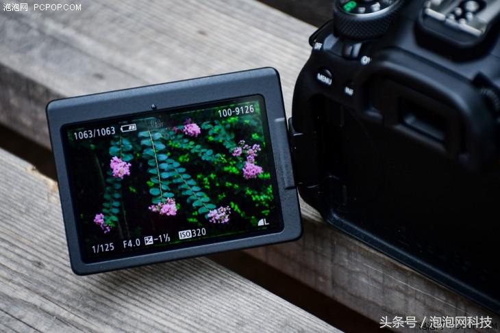 佳能6dmark2是哪个级别的,佳能6d高感能到多少