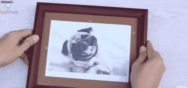 生活中的这些一物多用的小妙招,生活小妙招小玩意