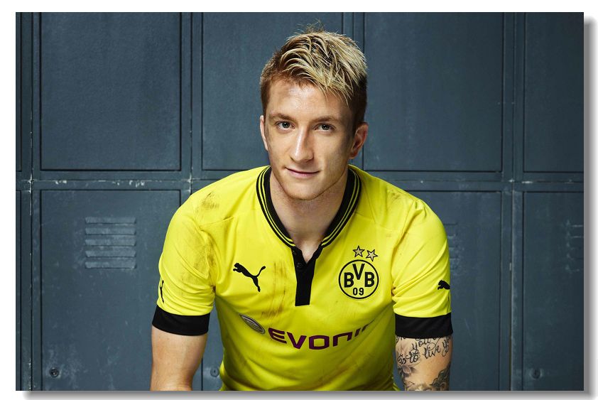 足坛人物志马尔科罗伊斯,马尔科罗伊斯个人资料