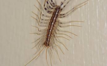 市民在鹅卵石地面做热疗,市民躺鹅卵石