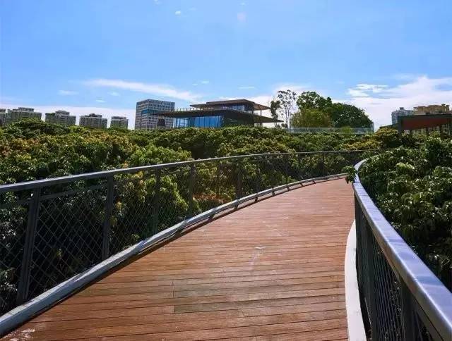 又多了一个免费约会公园！空中栈道、荔枝林、*瑰园玫**，环境超棒的！