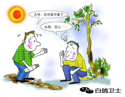 中暑了该如何急救比较好,中暑怎么办这些急救方法了解一下