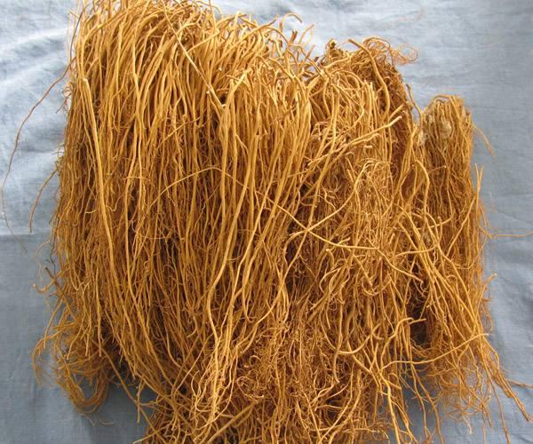 解表药之麻黄——用药经验分享：发汗平喘宜麻黄，利尿消肿功效强；外感风寒身无汗，痹痛咳喘水肿良