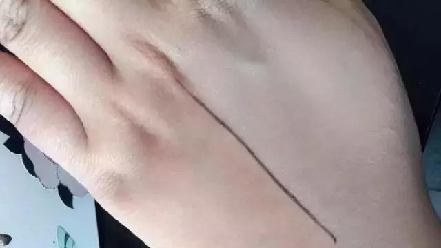 最好用的气垫bb霜是什么品牌,夏天用的气垫bb霜