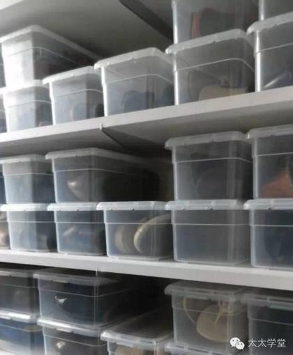 搬家好用的收纳物品有哪些,搬家收纳实用方法大全视频