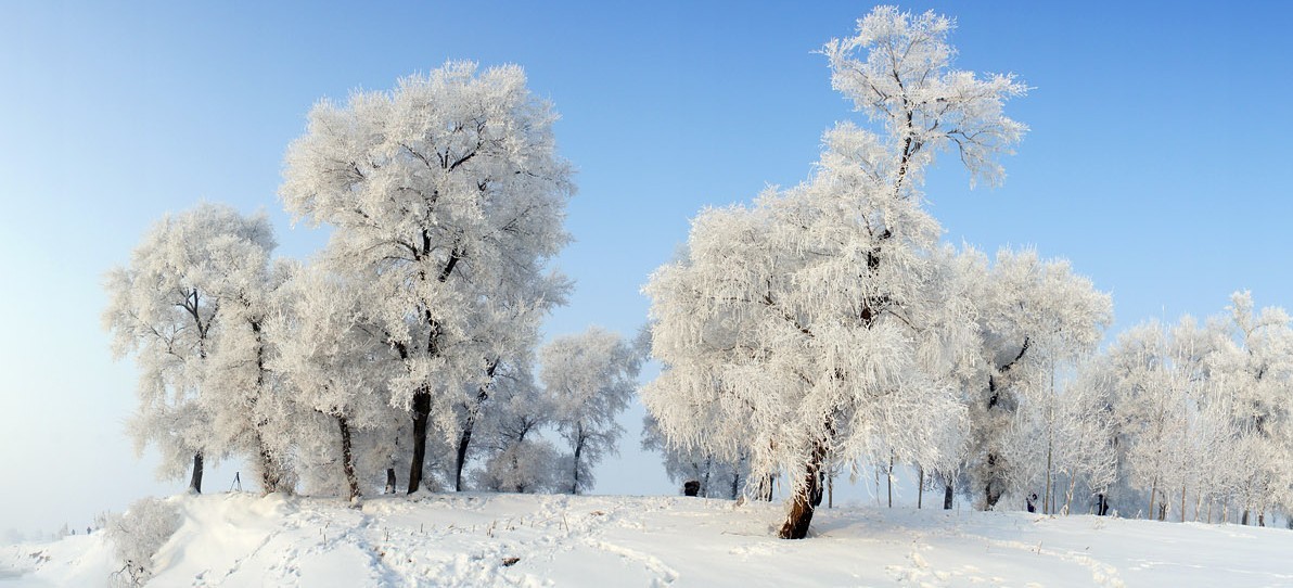 海南人对福建人印象如何,海南人地域观念
