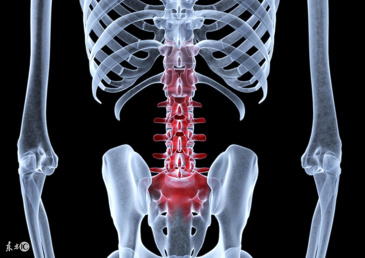 引起腰痛的原因有几个