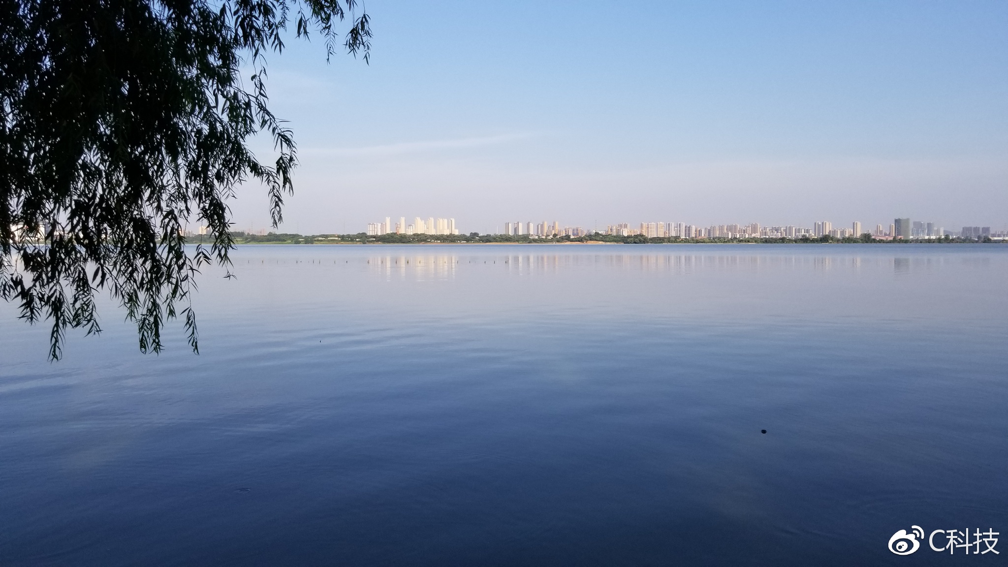 王者之上游戏,王者之上