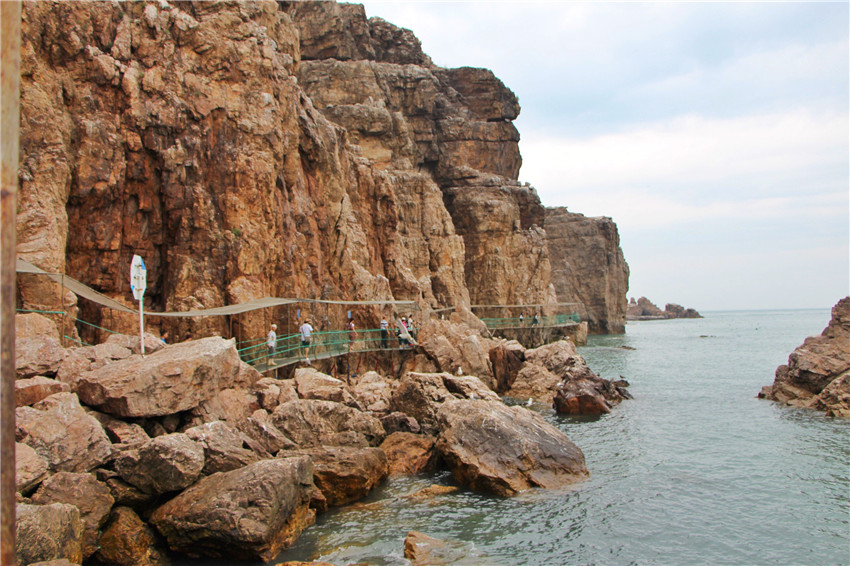 荣成海驴岛一年四季都有海鸥吗,国外海岛看海鸥