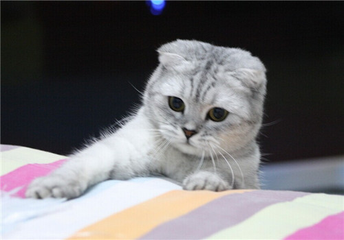 热射病死亡率为什么那么高,热射病是什么