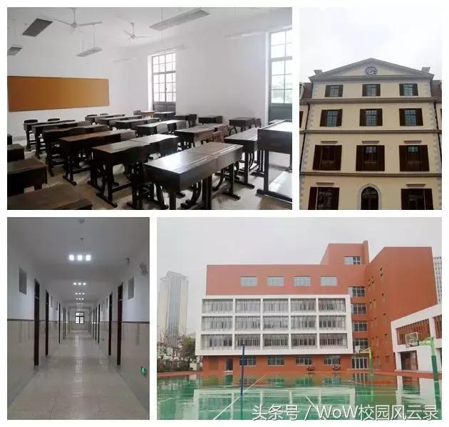 罗子君与凌玲对话视频,罗子君和凌玲第一次见面