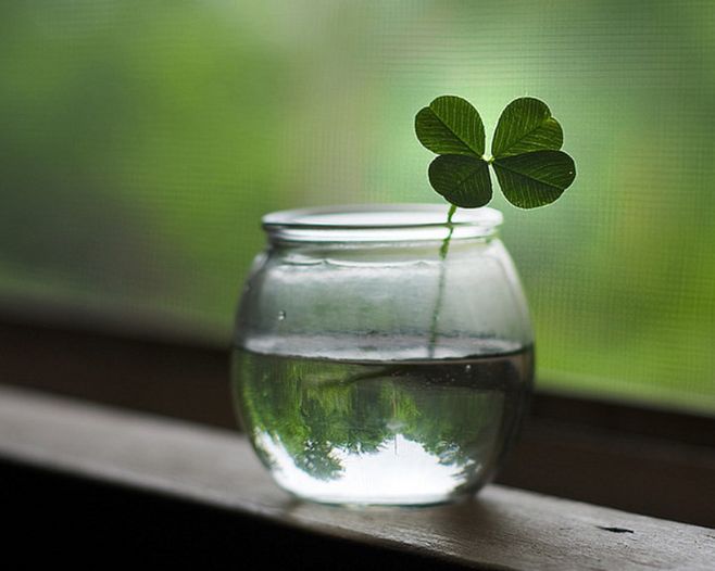 有没有觉得四叶草饰品不好看的,四叶草饰品属于什么风格