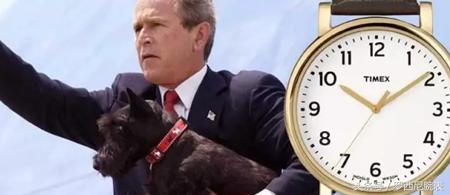 千元网红女表推荐,网红大牌表