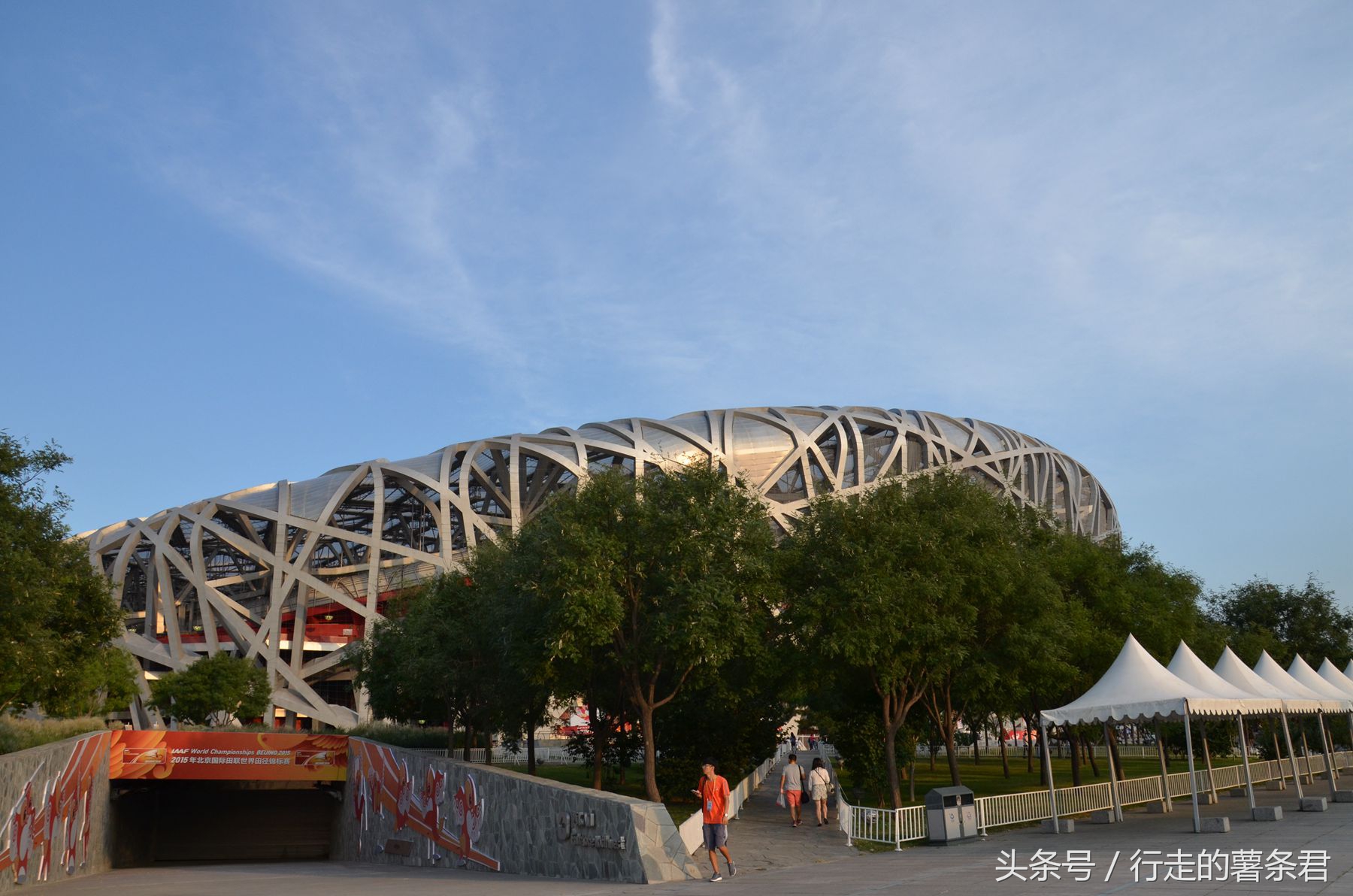 鸟巢体育馆上的鸟窝多高,北京鸟窝属于什么鸟巢