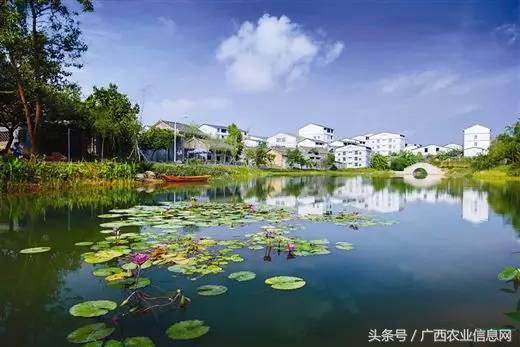 暑假去哪里旅游好进广西,暑假去哪里玩好玩又便宜广西