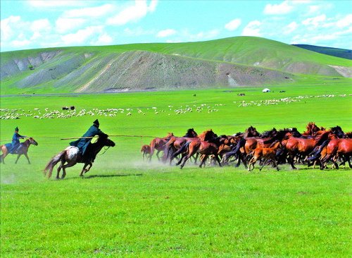 海南人对福建人印象如何,海南人地域观念