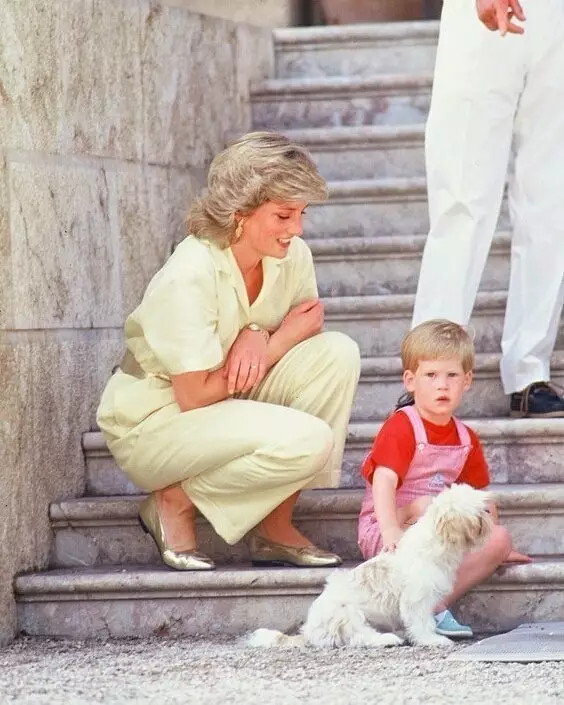 威廉王子兄弟追忆戴安娜王妃,威廉王子兄弟看戴安娜纪录片