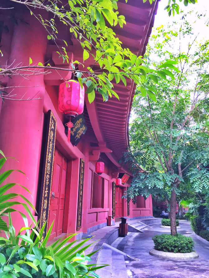 国内冬天的冰雪之旅,来一场冬日的冰雪之旅