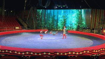 实探冰雪武汉,大马戏武汉市