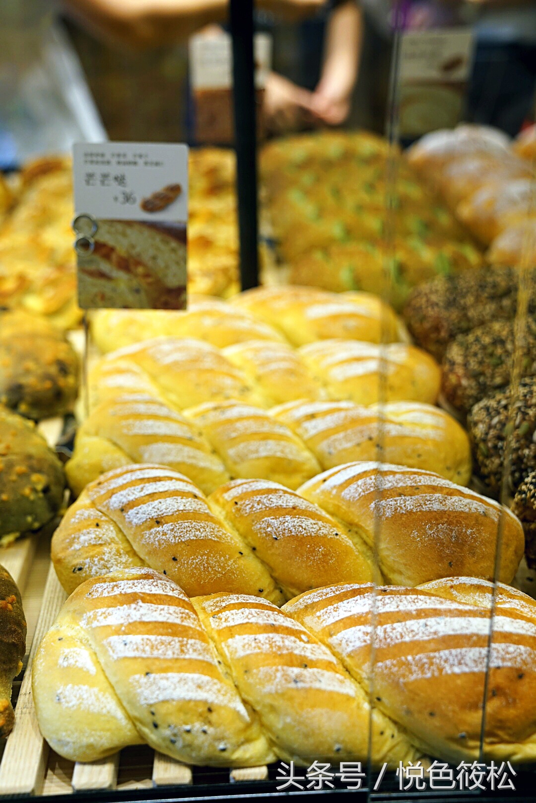 原麦山丘比其它面包好在哪,大连全麦面包哪家好吃